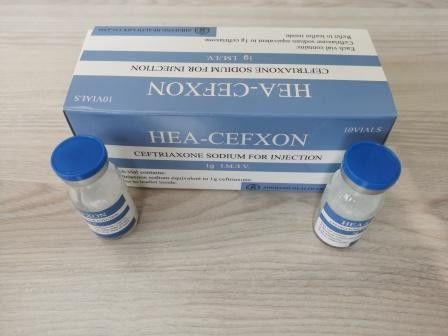Ceftriaxona Sódio Para Injecção 1,0 G 0,5 G Medicamentos antibióticos BP / USP