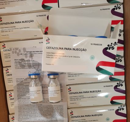 Cefazolina Sódio em Pó para Injecção 0,5 g / 1,0 g Antibióticos