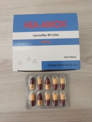 Amoxicilina Cápsulas 250MG 500MG BP / USP Antibióticos Medicamentos