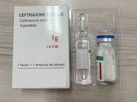 Ceftriaxona Sódio em Pó para Injecção 1,0 g
